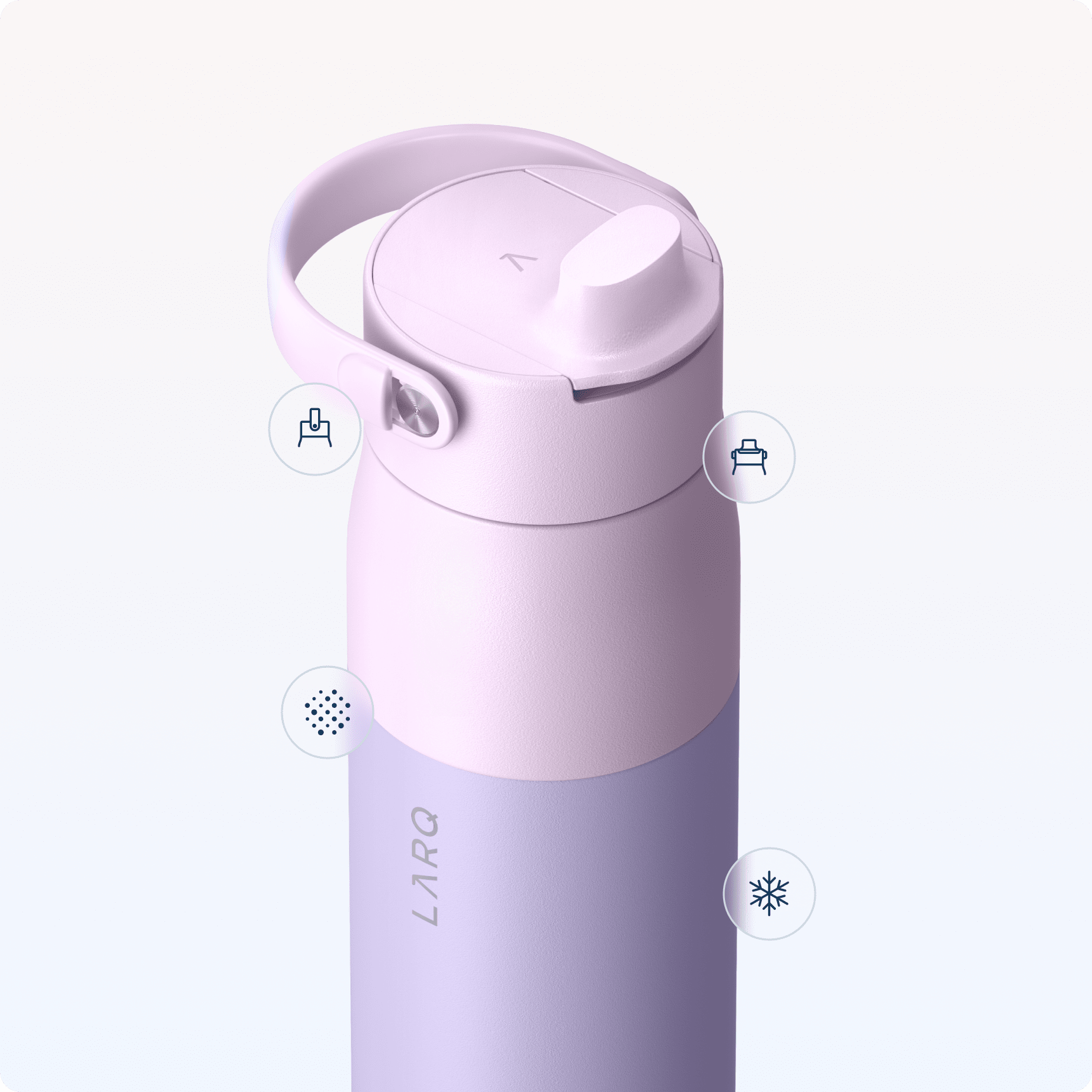 https://www.livelarq.com